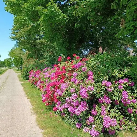 Casa vacanze With 3 Bedrooms *