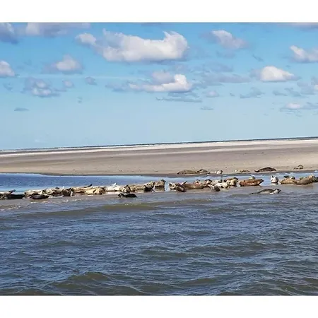 Casa vacanze With 3 Bedrooms *