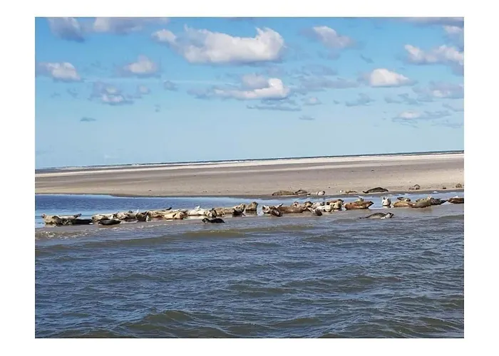 Casa vacanze With 3 Bedrooms *